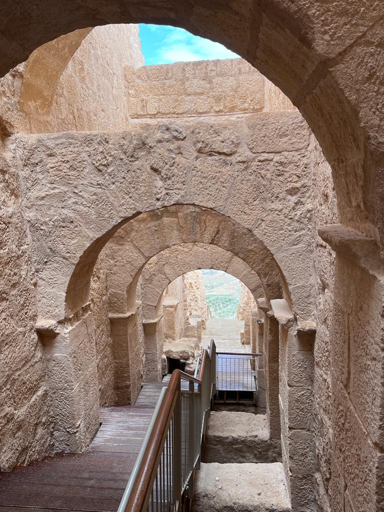 הרודיון